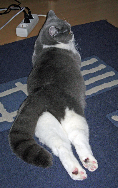 开云中国-墨西哥男足在巴黎奥运会上展示了高水平的比赛状态，墨西哥男足能否战胜巴西晋级决赛